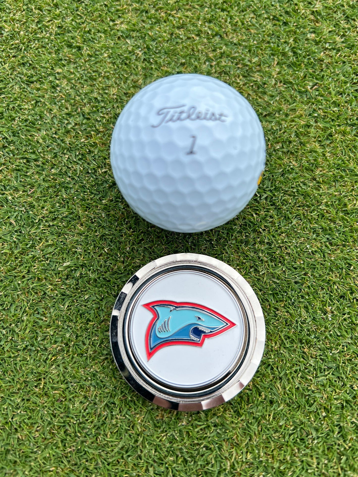 The Chasing Scratch Ball Marker - Team Bear vs. Team Shark