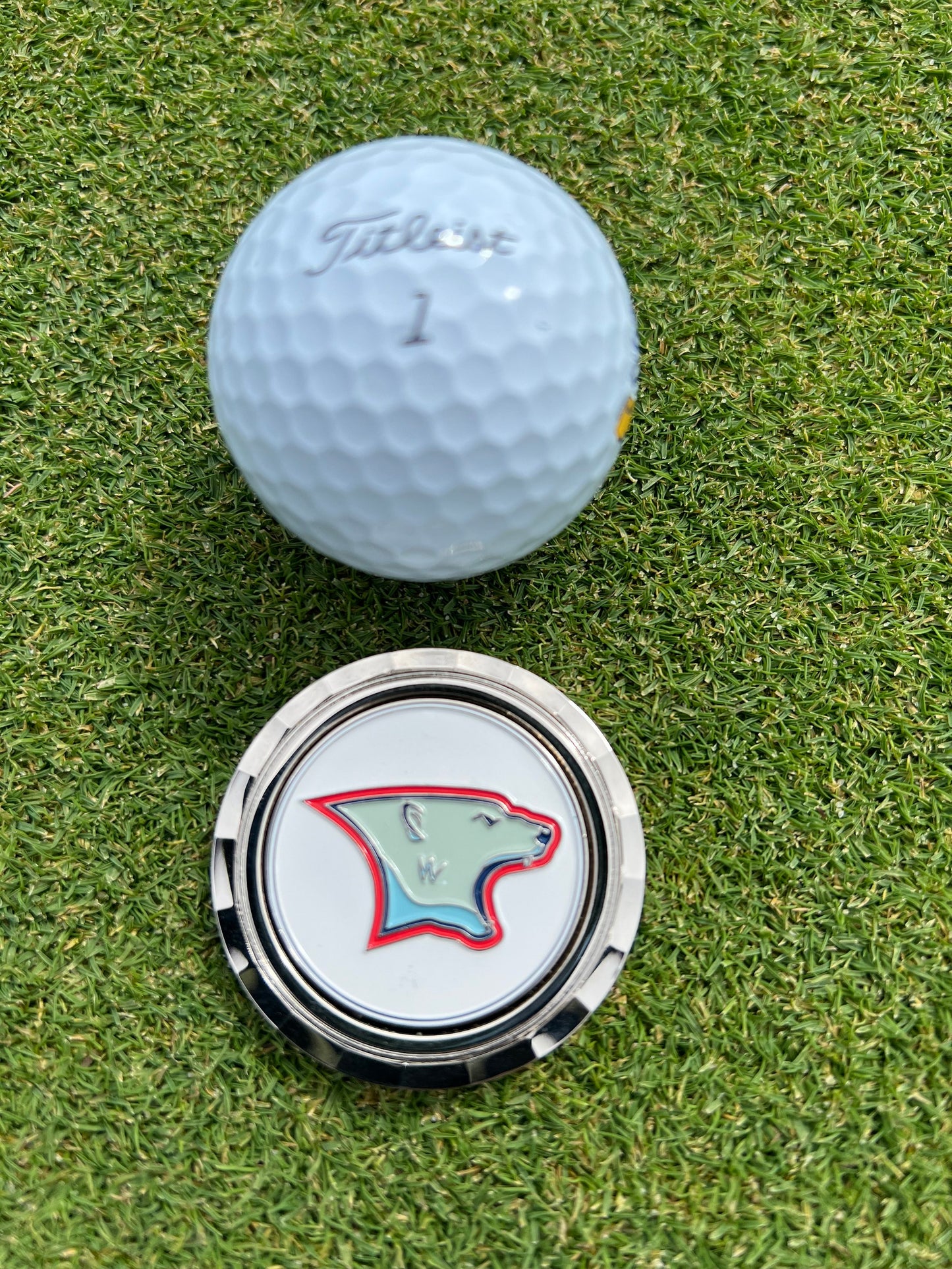 The Chasing Scratch Ball Marker - Team Bear vs. Team Shark