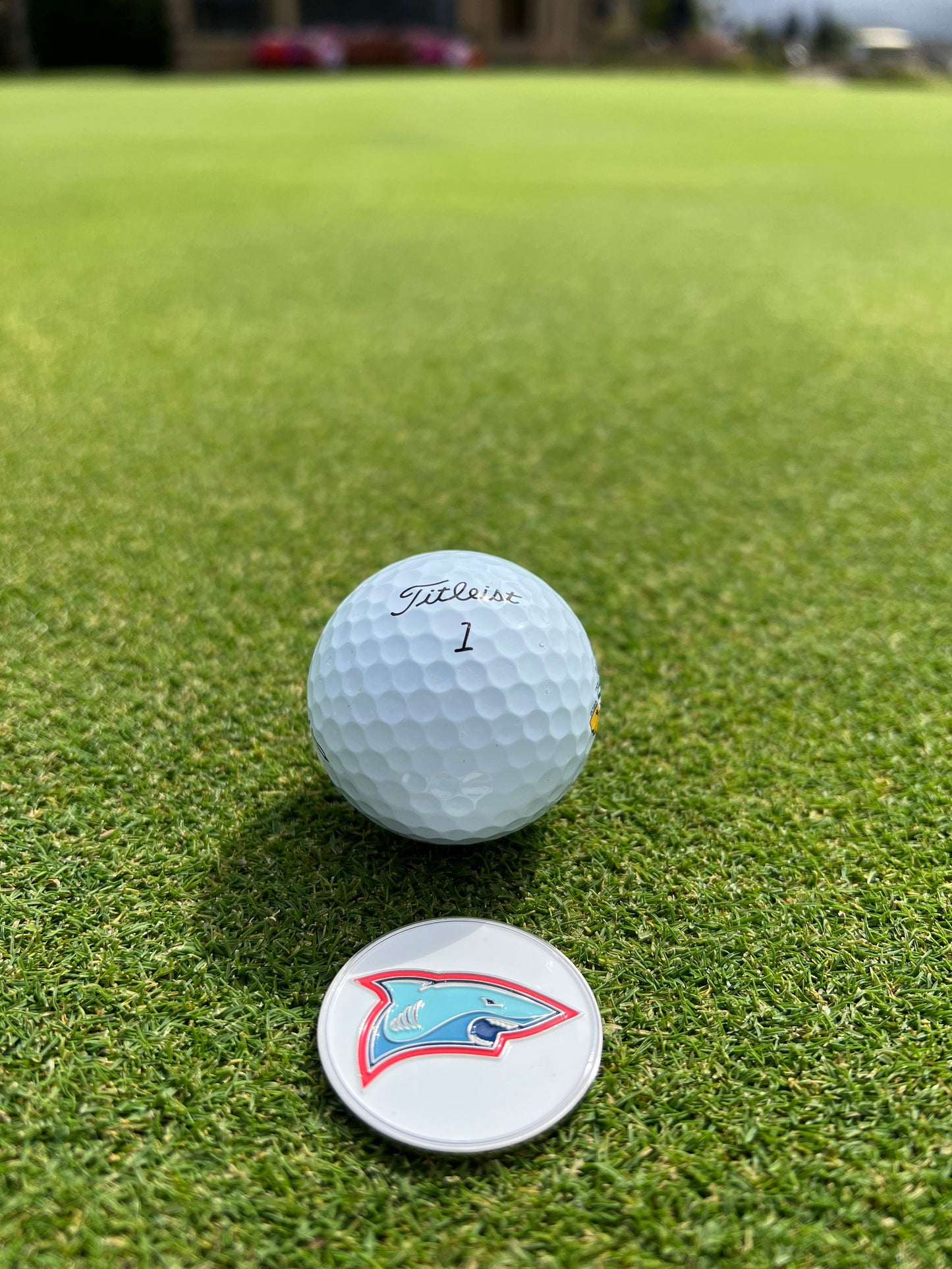 The Chasing Scratch Ball Marker - Team Bear vs. Team Shark